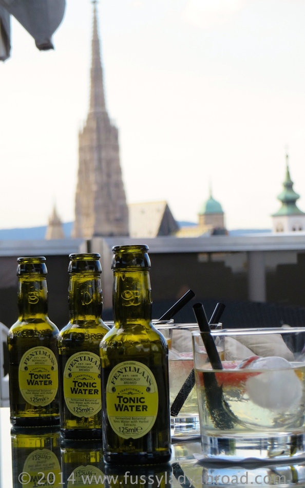 3 gins and stephansdom